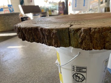 2' Log Table-Top Mold