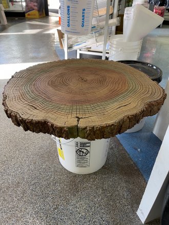 2' Log Table-Top Mold