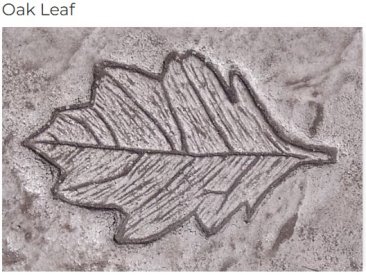 PRO - Leaf stamp (Oak and/or Maple)