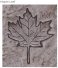 PRO - Leaf stamp (Oak and/or Maple)