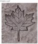 PRO - Leaf stamp (Oak and/or Maple)
